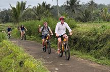 Ubud : Kintamani Downhill Cycling Tour with Lunch