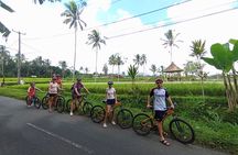 Ubud : Kintamani Downhill Cycling Tour with Lunch