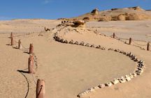 Fayoum Oasis Journey Echoes of Nature