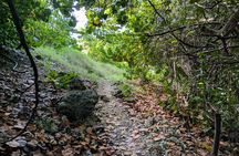 Barbados Hiking and Sightseeing Tour (Transport Included)