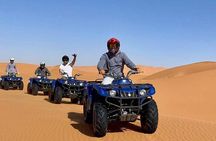 Hassilabied Quads Buggy 