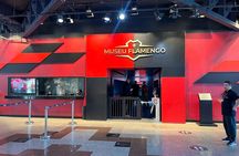 Football in Rio: Visit to the Flamengo Museum