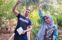Calligraphy and Painting Workshop in Ouirgane with Asma