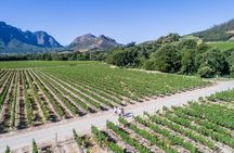 Franschhoek Wine Walk with Lunch