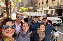 NYC Midtown &West Village Guided Private City Tour by E-Cart