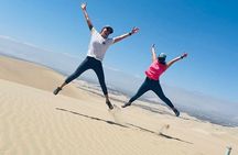 Tour Paracas Huacachina Full day