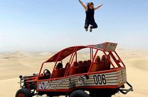 Tour Paracas Huacachina Full day