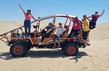 Tour Paracas Huacachina Full day