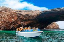 Tour Paracas Huacachina Full day