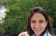 Epic Canal Journey: Locks, Bridges, Amador, Goethals Monument.