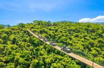 Combo RZR Zip Lines and Mule Ride Jorullo Route