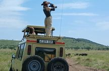 7 Day Tanzania Safari Adventure Serengeti and Ngorongoro