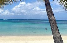 Roatan Zipline and Beach Tours