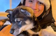 Dog Sledding & Animal Adventures – Anchorage Pickup