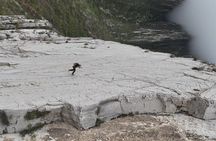 Rappels in Pico Licos with certified guides
