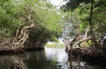 Roatan Island Tours, Nature Parks and Attractions by Land and Sea