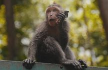 Ubud: White Water Rafting with visit Ubud Monkey Forest 