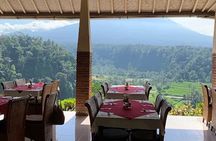 All Inclusives Bali Private Tour Temples Palaces and Nature 