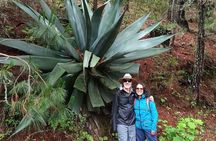 Hiking in Sierra Norte the most spectacular trails in Oaxaca