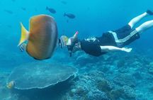 Private All Inclusive Nusa Penida Snorkeling and Tour