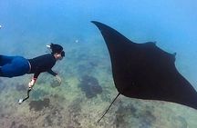 Private All Inclusive Nusa Penida Snorkeling and Tour