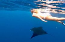 Private All Inclusive Nusa Penida Snorkeling and Tour