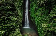 Discover Hidden Bali Waterfalls in Private All Inclusive Tour