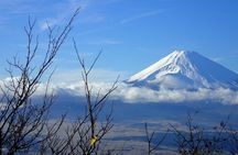 Hakone Luxury Exclusive Tour – Full Day with Chauffeured Vehicle