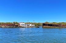 90 Minute Port River Dolphin & Ships Graveyard Cruise