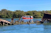 90 Minute Port River Dolphin & Ships Graveyard Cruise