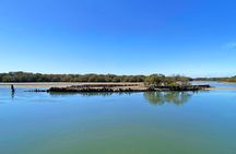 90 Minute Port River Dolphin & Ships Graveyard Cruise
