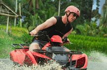 Bali ATV Adventure – Explore Ubud Trails, Rice Fields & Waterfall