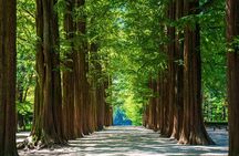 Nami island and Hanbok Wearing and Waterfall from Seoul