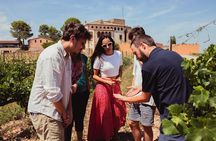Montserrat Tour with Medieval Winery Tapas Lunch from Barcelona