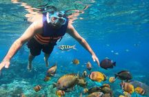 From Bali West Nusa Penida Tour and Private Snorkeling