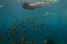 From Bali West Nusa Penida Tour and Private Snorkeling