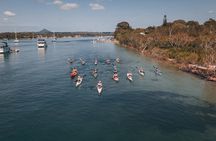 Mangroves and Mansions Guided Kayak Tour on the Noosa River