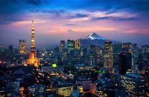 Tokyo Made Easy | Private Chauffeur Day Adventure | Car and Guide