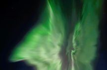 Autumn Aurora Tour in Rovaniemi with Local Guides