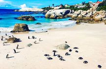 Full Day Table Mountain, Cape Point & Winelands Tour