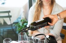 Pisa guided tour and Wine tasting with Leaning Tower ticket (option)