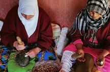 Guided Hike: Atlas Mountains, 3 Valleys, Villages & Waterfalls