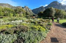 Half Day Table Mountain & Kirstenbosch Gardens 