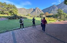 Half Day Table Mountain & Kirstenbosch Gardens 