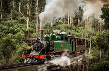 Melbourne Puffing Billy Penguin Yarra Valley Wine choc Tour