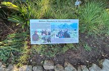 Half Day Table Mountain & Kirstenbosch Gardens 