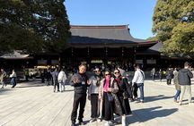 Tokyo Private Full-Day Tour by Car with Local Guide