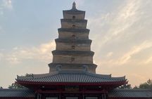 Terracotta Army+2 more sites with Guide(No Private Transfer)