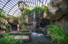 Penang City and Entopia Butterfly Farm Tour