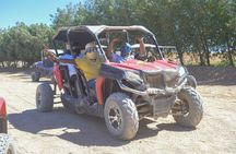 Sharm El Sheikh: ATV, Camel Ride with BBQ Dinner and Show